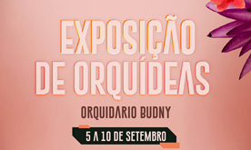 Exposição de Orquídeas