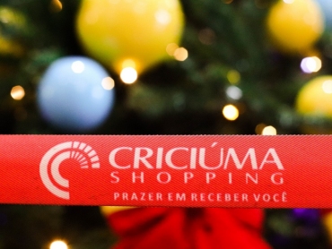 Para comemorar o Natal, Criciúma Shopping exibe espetáculo musical “Frozen”