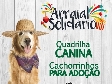 Arraial Solidário terá cãezinhos desfilando!
